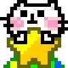 🌟