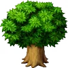 🌳