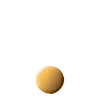 🟠