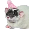 🐁