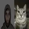 😼