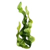 🥬