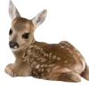 🦌