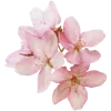 💐