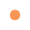 🟠