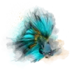 🐠
