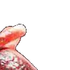 ⭐