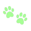 🐾