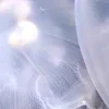 🌊
