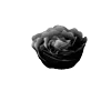 🖤