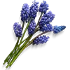 ♾