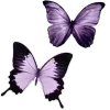 💜