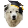 🎓
