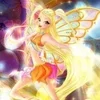 🌟