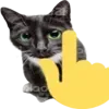 👆