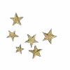 🌟