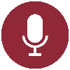 🎙️