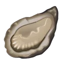 🦪