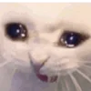 🥺