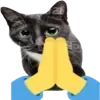 🙏
