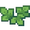 💚