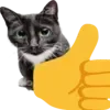 👍