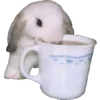 ☕