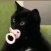 🍼