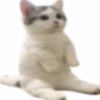 🙂