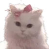 🎀
