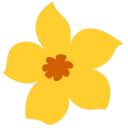 🌼