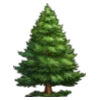 🌲
