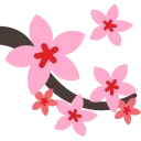 🌸