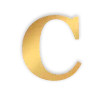 🟡
