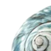 🌊
