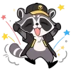 🦝