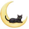 🌜
