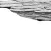 🩶