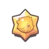 🌟