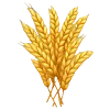 🥖