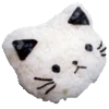 🐱
