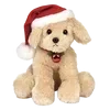 🐶