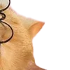 😀