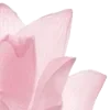 🌸