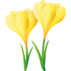 🌼