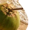 🥥