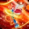 🌟