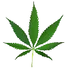 🌿