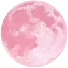 🌕