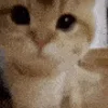 😊